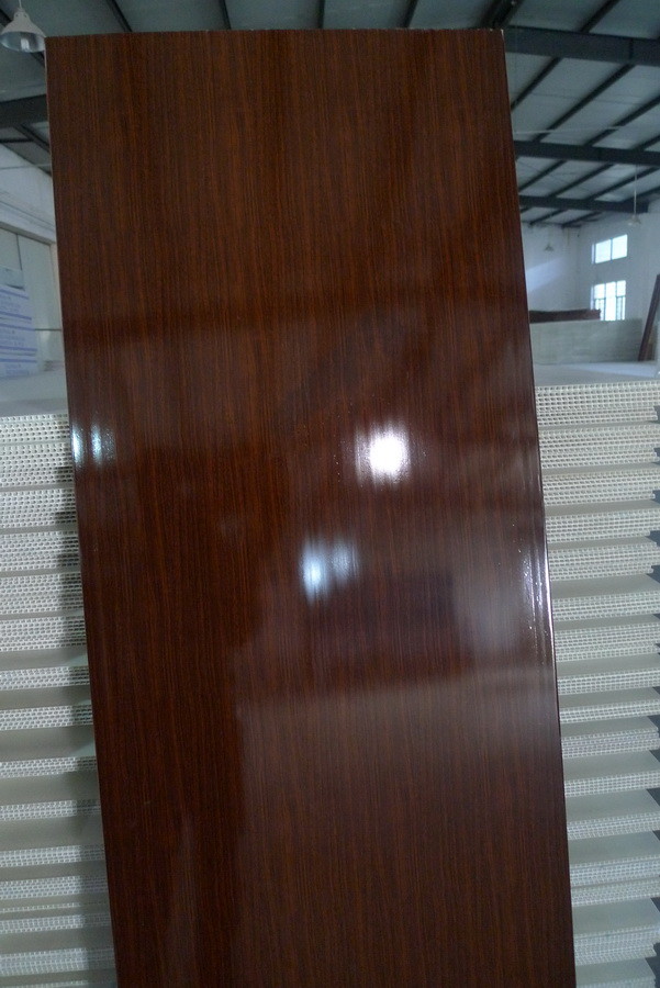 Mouldproof Plastic Interior Replacement Door Panel No Aspiration With Wooden Grain